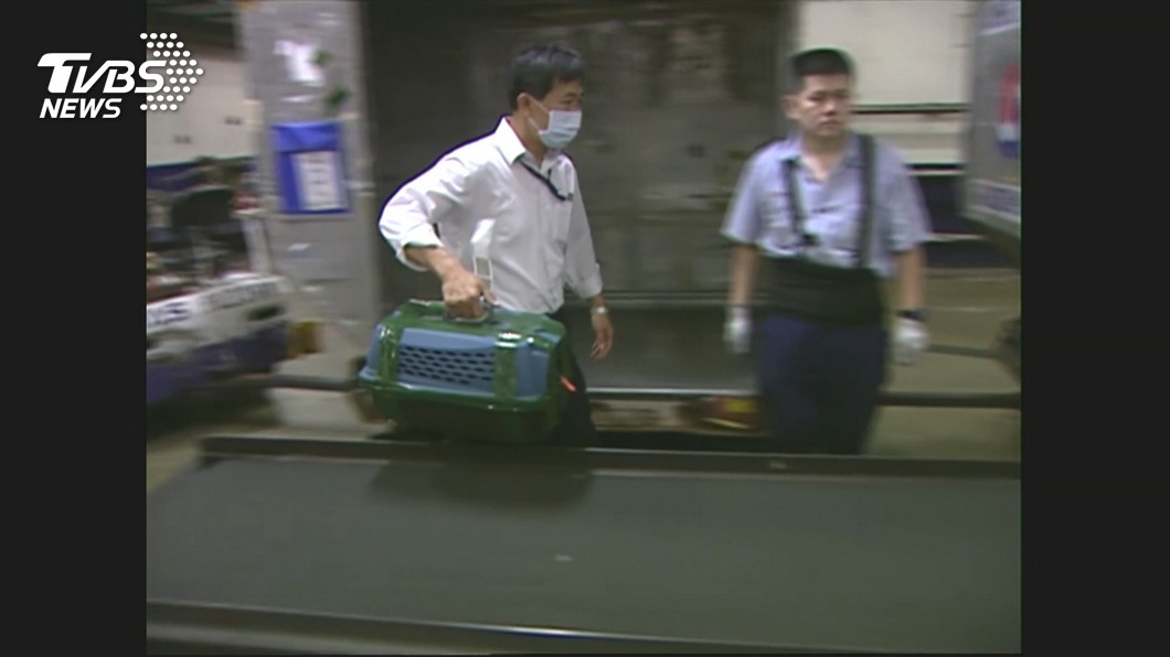 航空公司不讓乘客寵物貓託運 挨告判賠