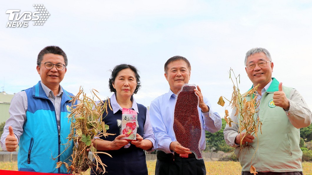 紅豆雙姝收服台灣人味蕾 農改場籲別混種