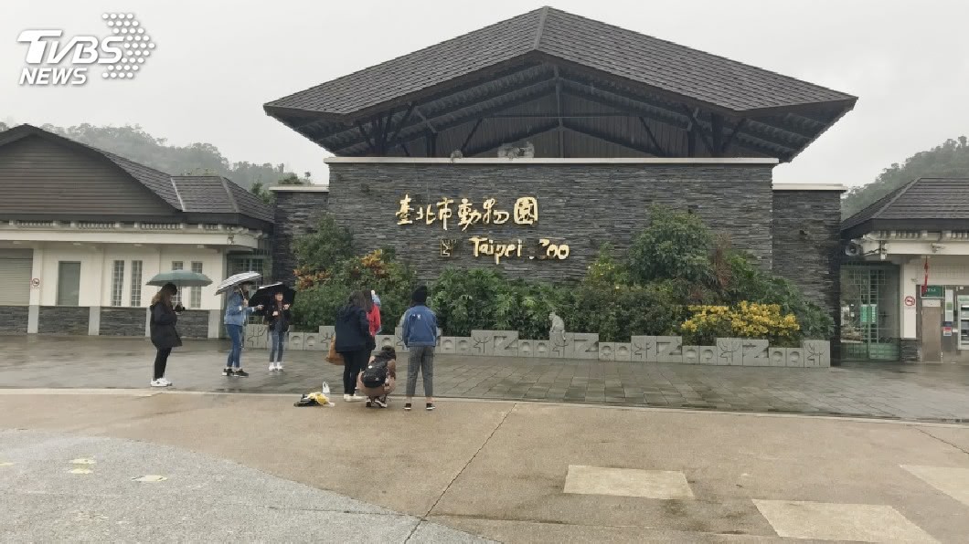 學齡童未就學！生母驚爆「他死了」　傳埋屍大台北