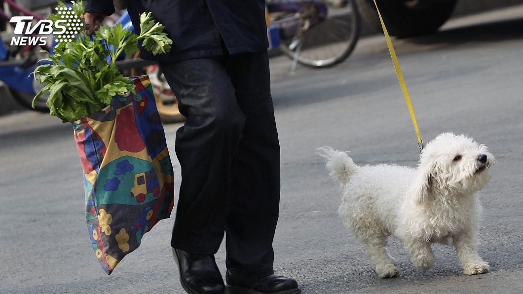 濟南發布養犬通告 遛狗繩最長1.5公尺