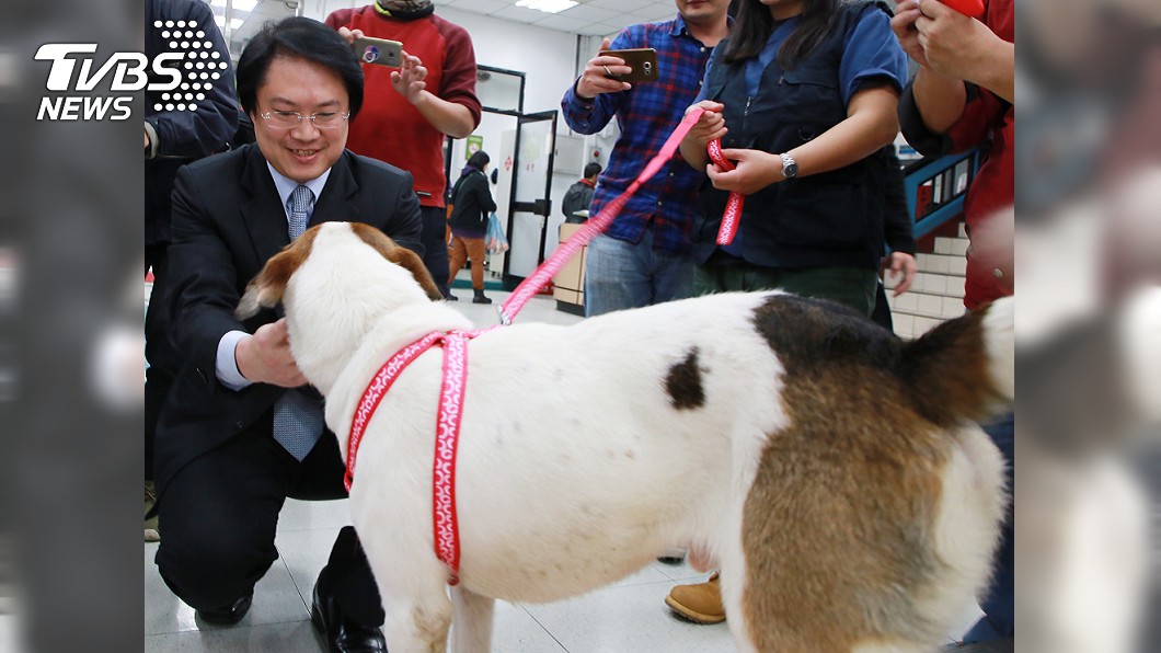 基隆被送走的消防隊犬,被市長林佑昌認養回家。圖/基隆市政府