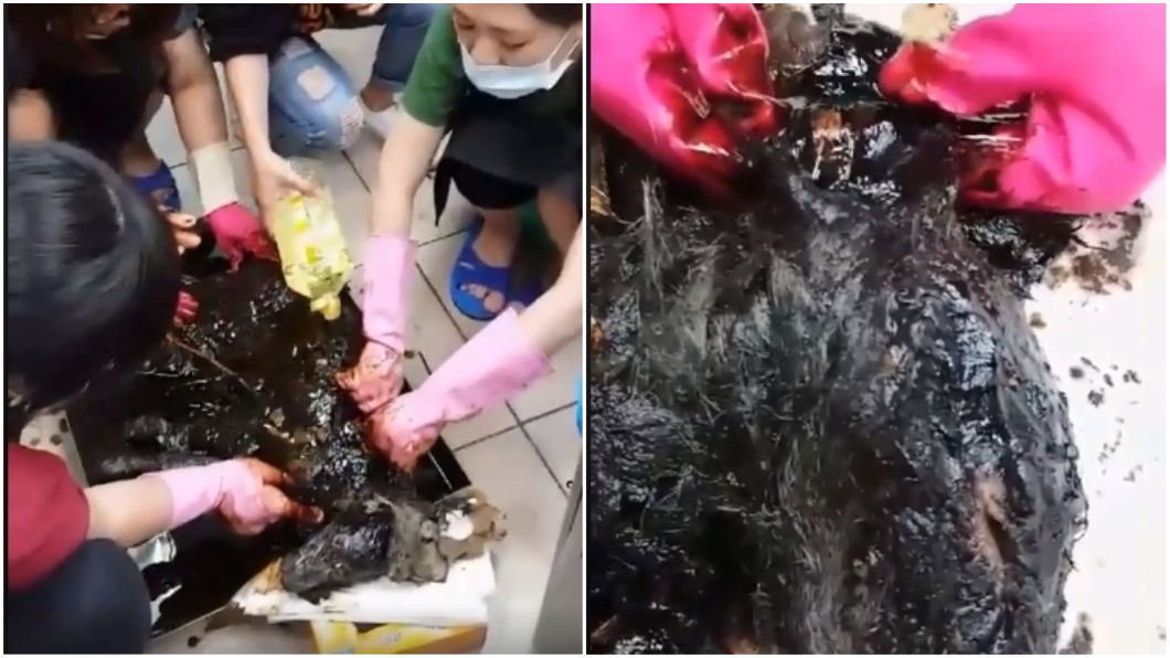 圖／徐園長授權提供