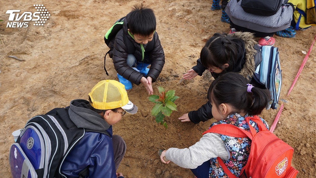 曾經野草狂燒　金門料羅林區植樹重生