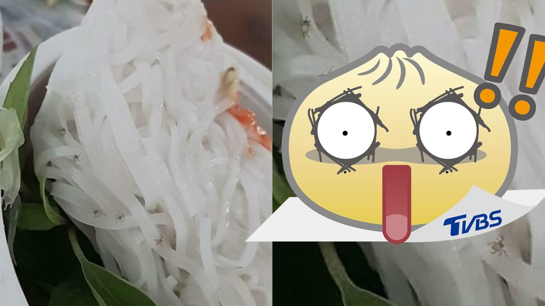 噁!吃河粉爬出「爆量蜘蛛」 網崩潰直呼:是盤絲洞!