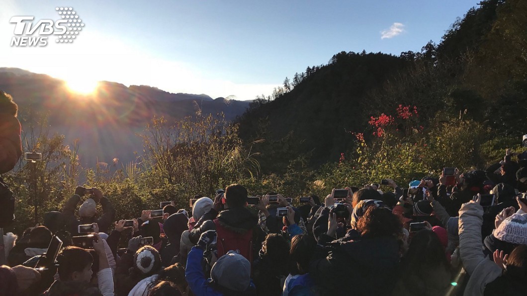 阿里山森林鐵路 本線續停駛3個月