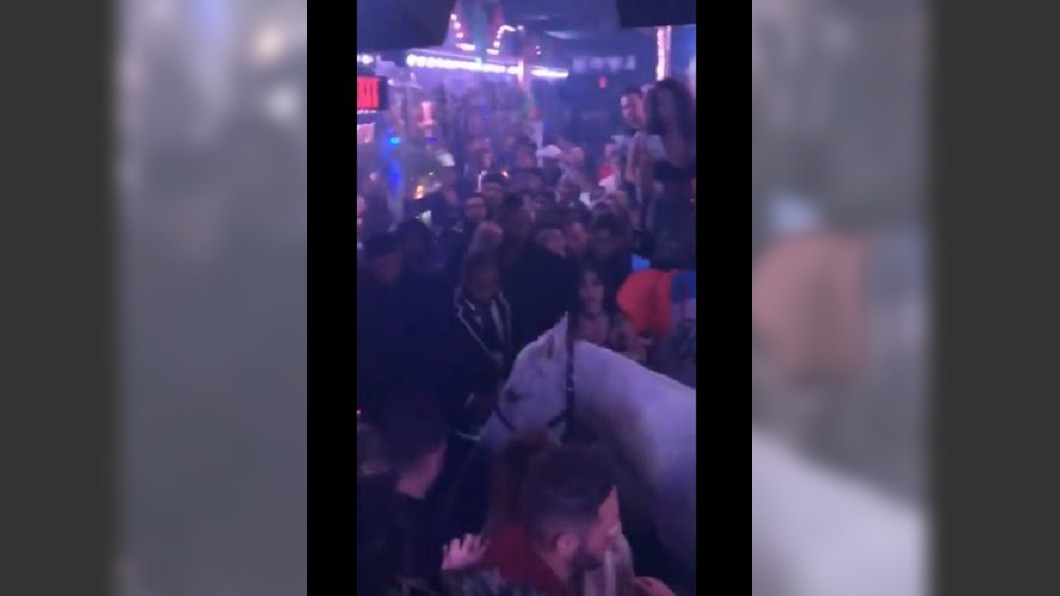 舞者騎白馬進舞池 美夜店遭批虐待動物
