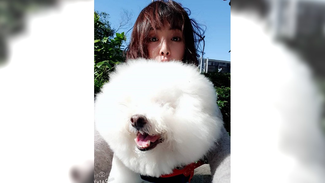 圖/翻攝自蔡依林臉書