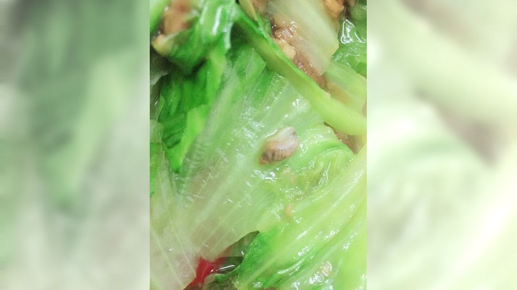 男驚見菜蟲暴怒討拍　女網友霸氣神回：我吃X蟲都沒叫了