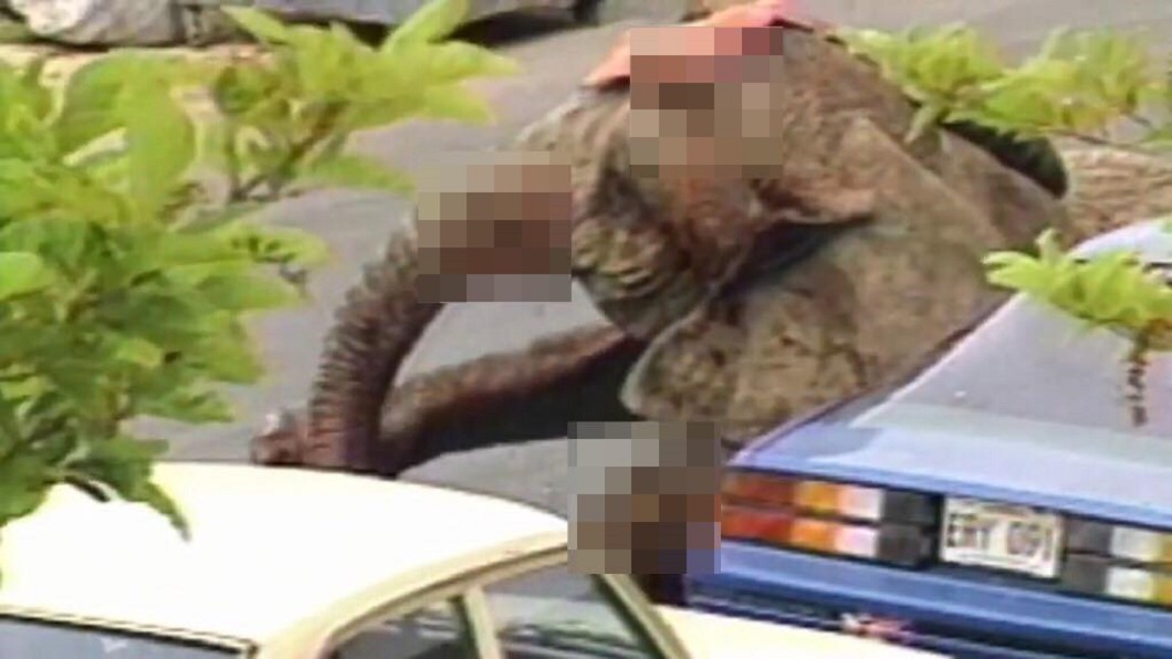 泰克被連開86槍,全身是血臥倒轎車旁。圖/翻攝自 YouTube PETA