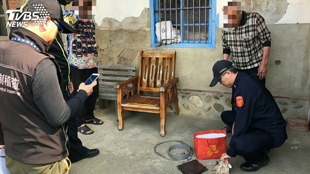 叔姪設陷阱捕狗挨罰 領養8犬皆下落不明
