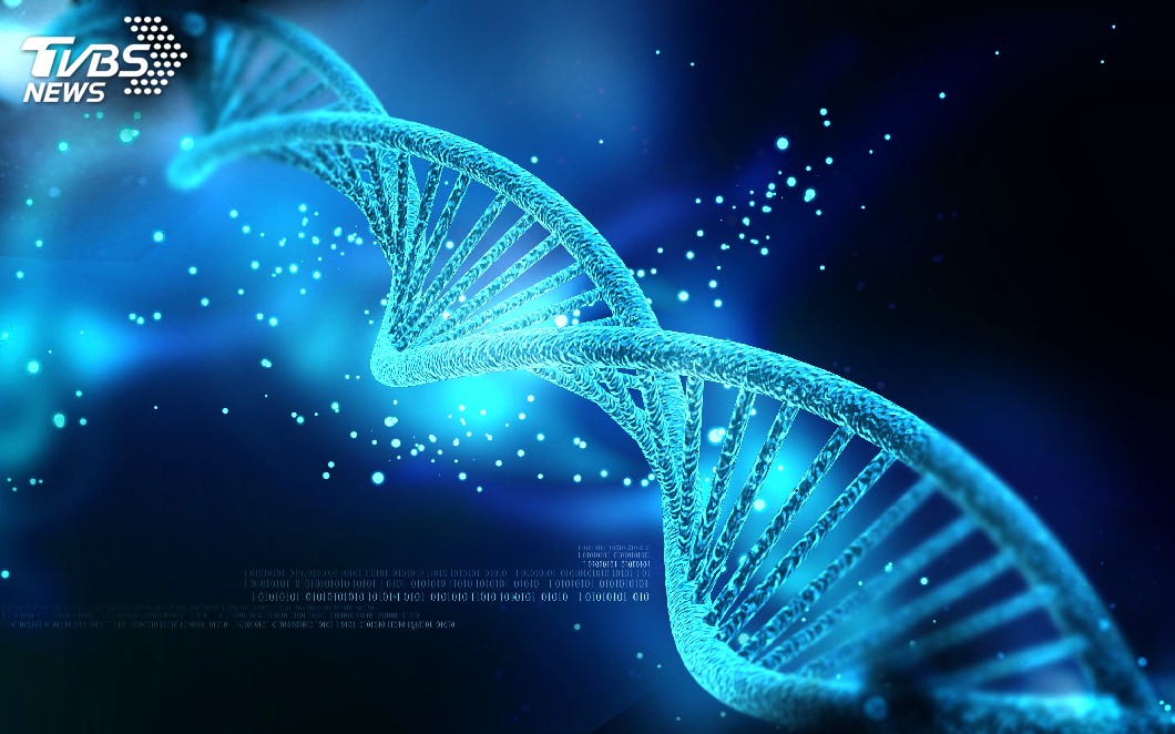 科學家針對24萬多人的DNA變異做比較,判定何種基因與智力有關。圖/TVBS