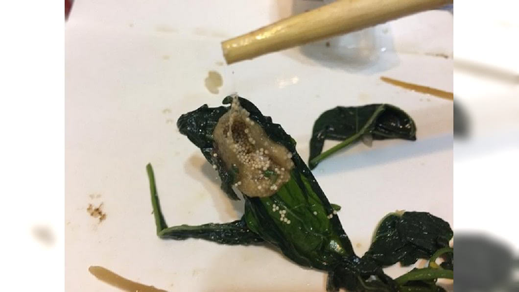 圖／爆廢公社