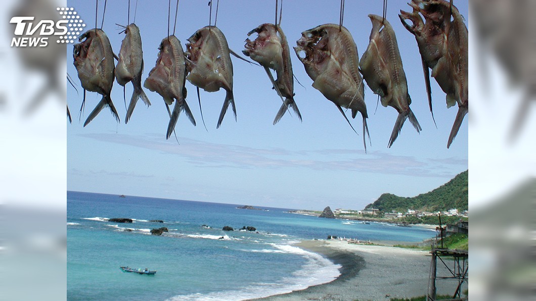 蘭嶼飛魚季登場! 先了解禁忌和文化