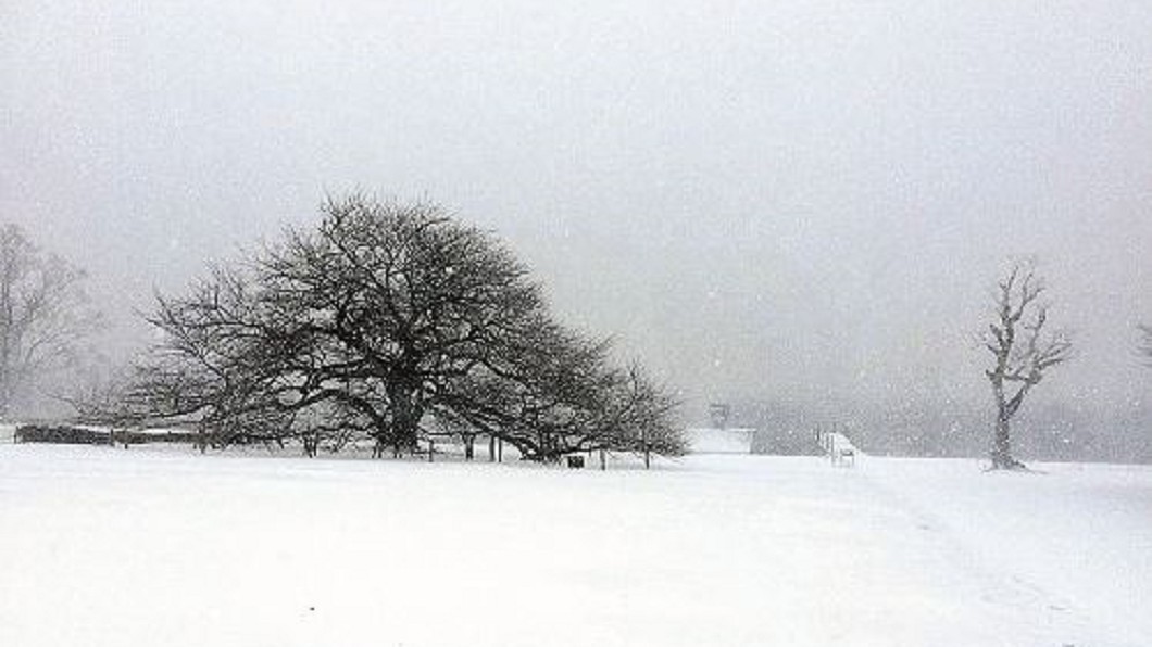 箱根發布大雪警報 賞櫻季節變天