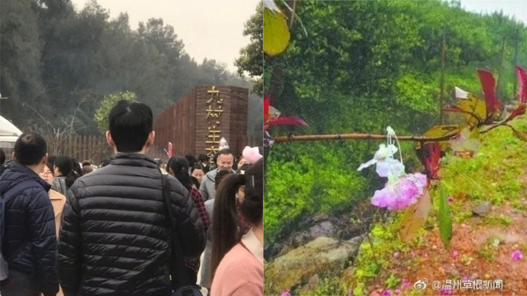 主辦方在網上祭出優惠,吸引上千名遊客前往賞櫻。圖/翻攝自微博