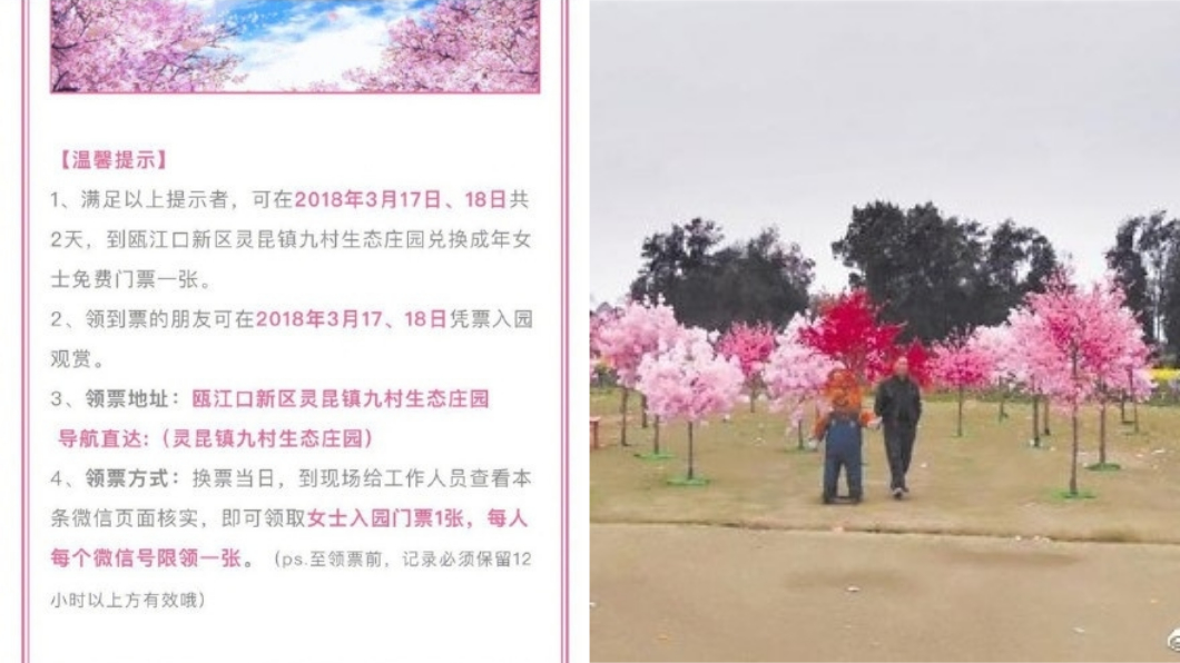 此櫻花節宣傳單附上不少櫻花美景圖片,還祭出優惠,沒想到竟是山寨櫻花節。圖/翻攝自微博