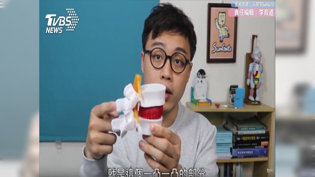人體脊椎骨中間長有神經,是大腦控制四肢的訊號流通。圖/TVBS