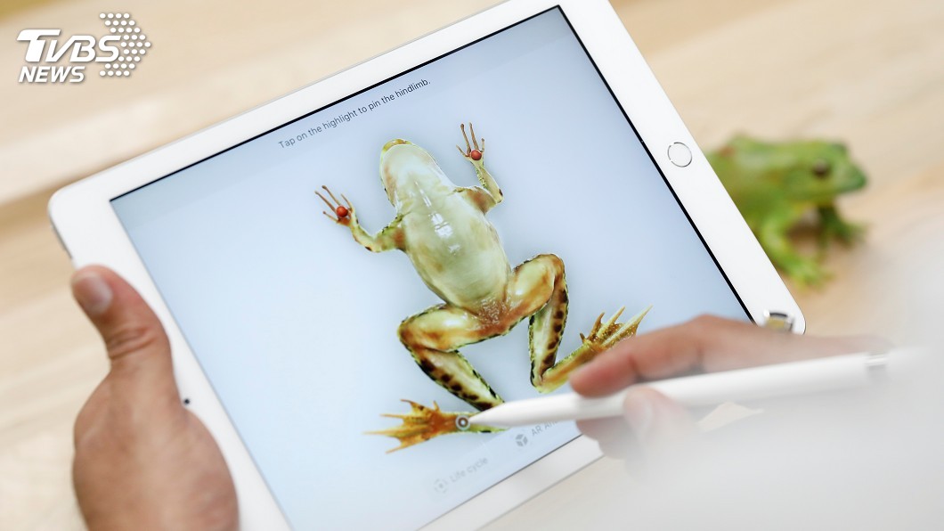 蘋果新iPad有學生價 秀觸控筆蛙剖