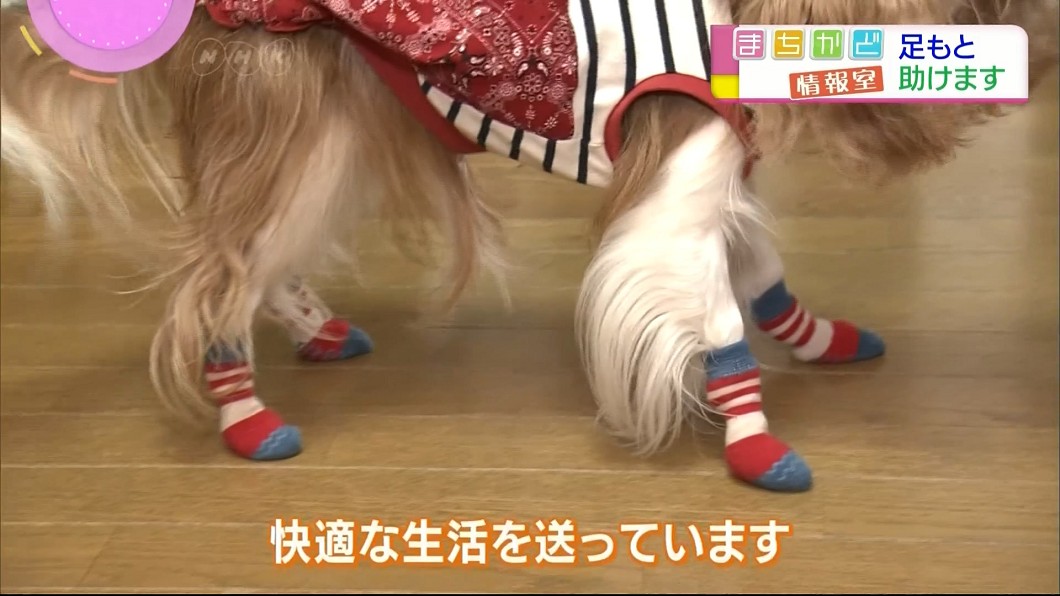 圖/NHK