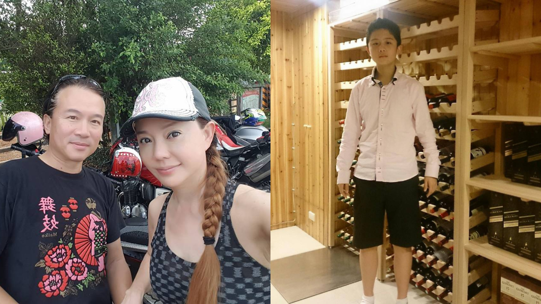 狄鶯護兒「耍嘴砲開槍」　明赴美救子要記者別害他