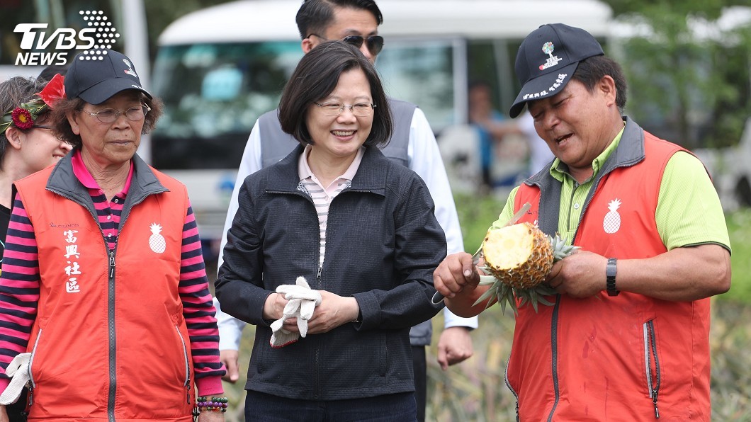 提振花蓮觀光 蔡總統帶隨團媒體大啖鳳梨