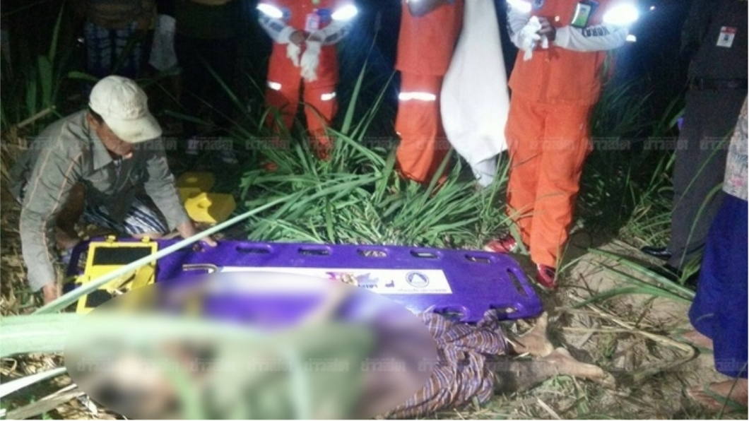 巡田遇發情大象　老農慘遭踩扁骨折亡