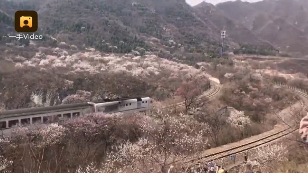 圖／梨視頻
