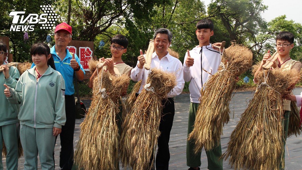 金寧石蚵小麥文化季　晚會卡司比照跨年規格