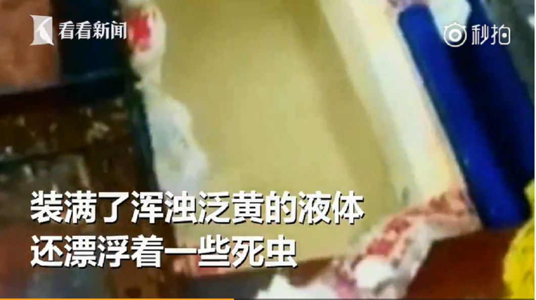 圖/取自《看看新聞》