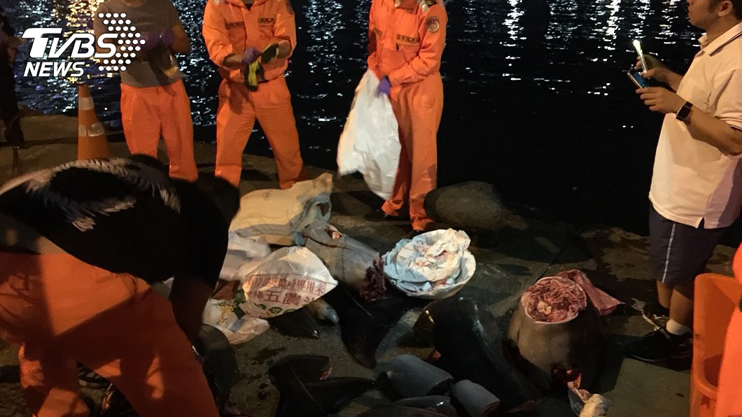 疑海上私宰保育海豚當餌 船長遭法辦