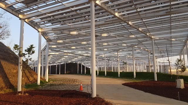 整個城市都是樹木銀行!6個第一 中央公園超出你的想像