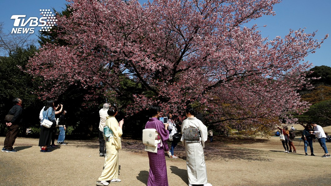 日本春熱　4月4日東京創今年最高溫