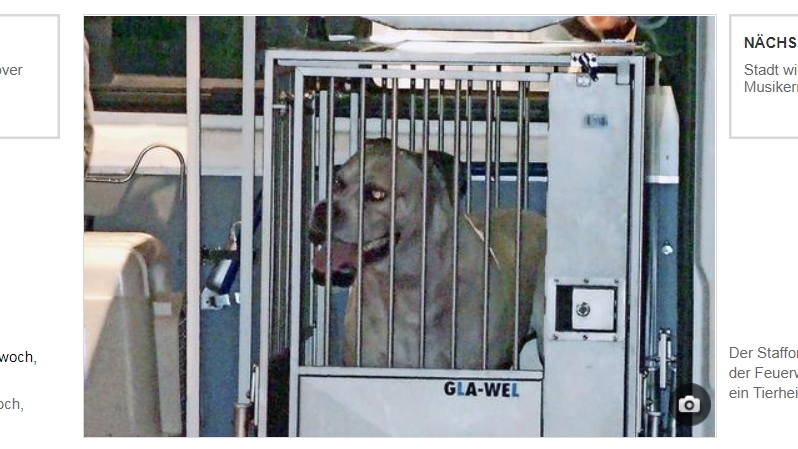 德國母子遭㹴犬咬死 血淋淋陳屍家中