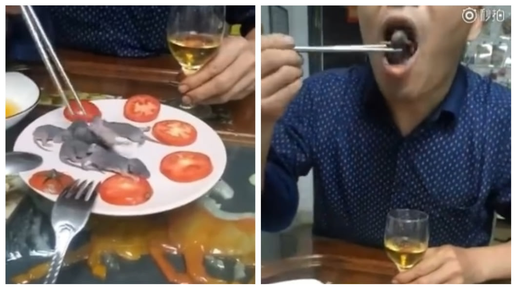 好吃嗎?男沾醬生吞「活老鼠」 一口接一口狂比讚
