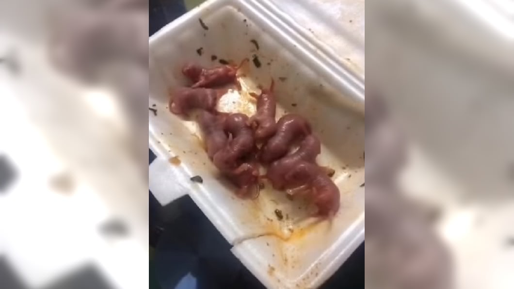 這道「三吱兒」為大陸料理,但料理通常會選用剛出生的小幼鼠,而微博上男子吃的是已長毛的小老鼠,與道地食譜似乎有異。圖/翻攝自YouTube