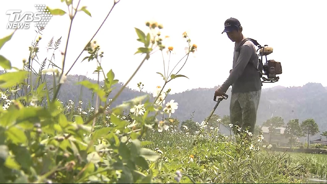 巴拉刈將禁用 醫提醒這農藥中毒率恐增