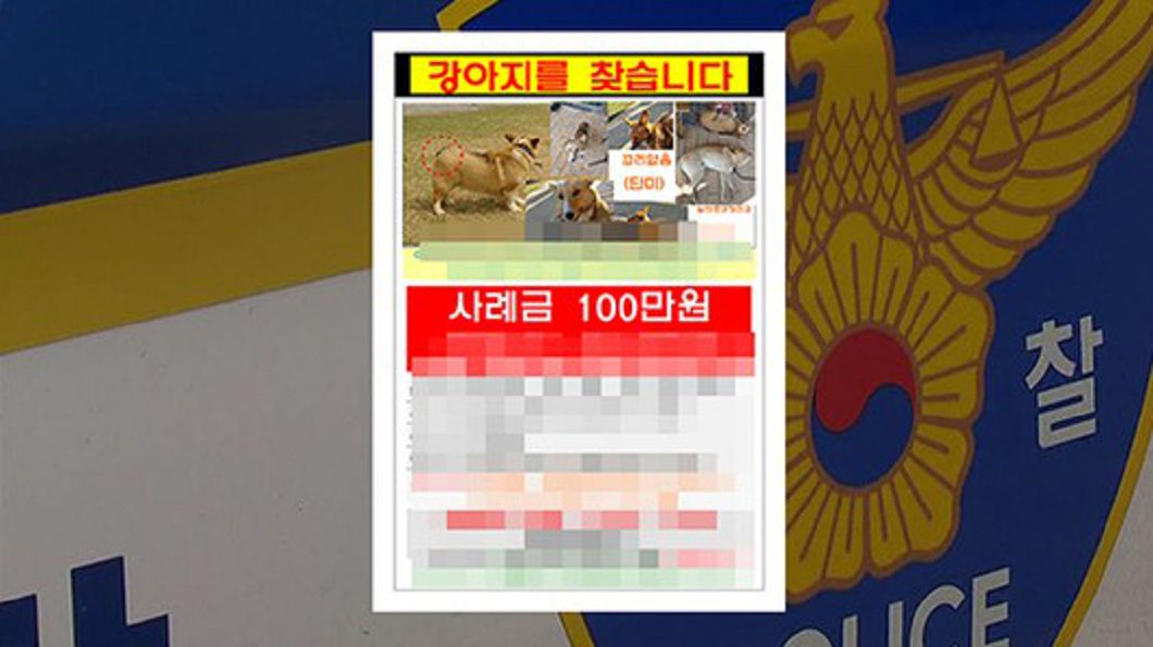 圖/翻攝《The Korea Herald》