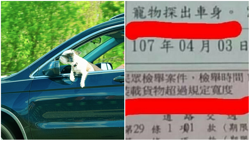 狗狗搭車探頭出來吹風 警開駕駛罰單3千元