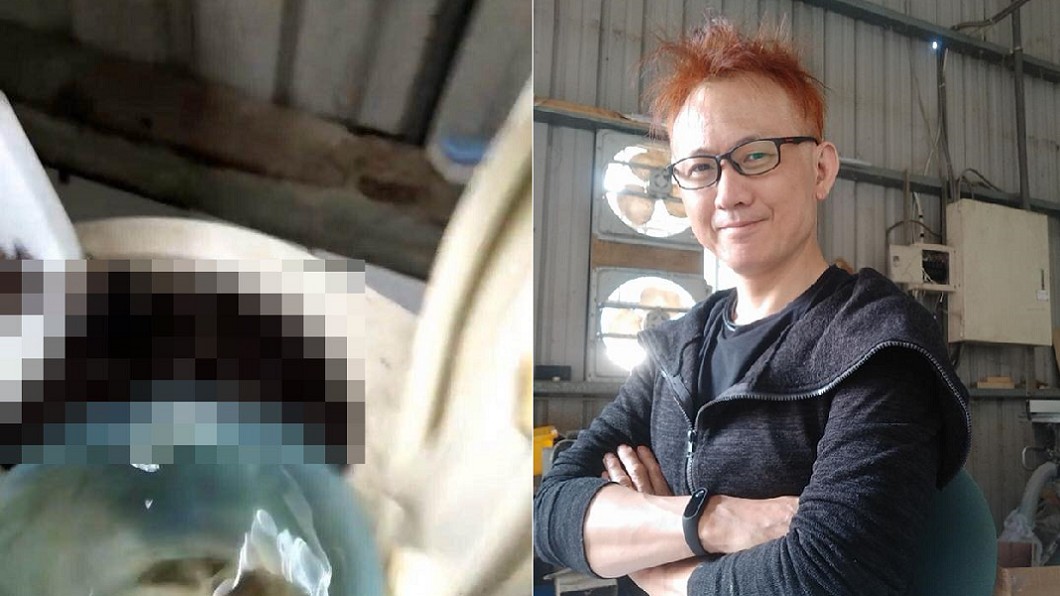 上萬蟑螂倒馬桶挨轟 養殖戶怒告網友求償千萬
