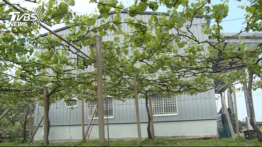 彰化農地違建再現　環團檢舉籲落實即報即拆