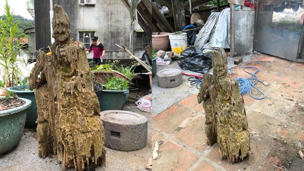 廢棄園地發現「白蟻蛀朽木」 定神看大驚:是濟公神像