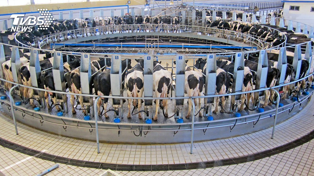 牛乳產線智慧化 百頭牛全線作業只需3人