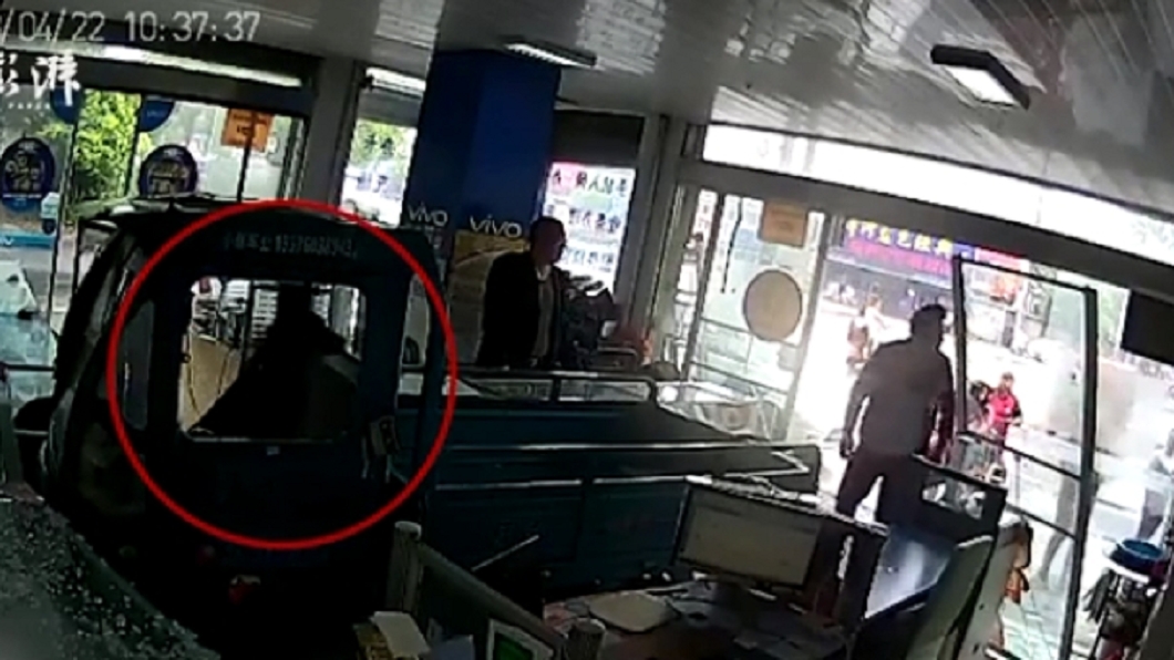 大陸江蘇泰興一間通訊行遭貨車撞入,但駕駛竟然是一條狗。圖/翻攝自澎湃新聞