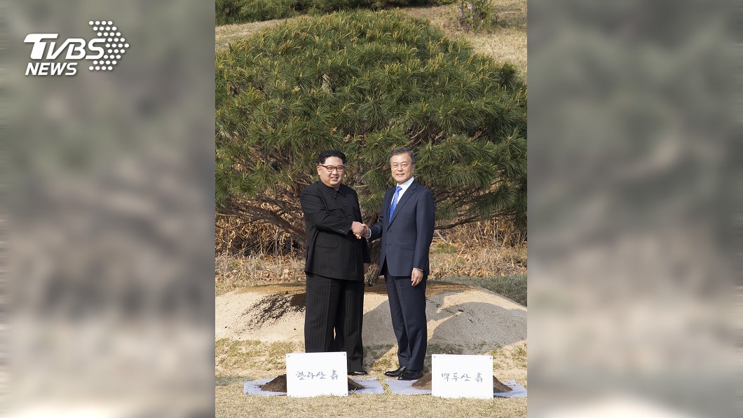 南北韓種下和平之樹 文金散步講悄悄話