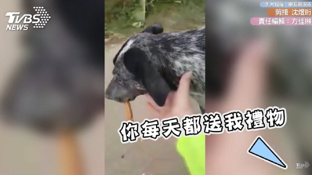 圖/網友蔡淑芬授權提供