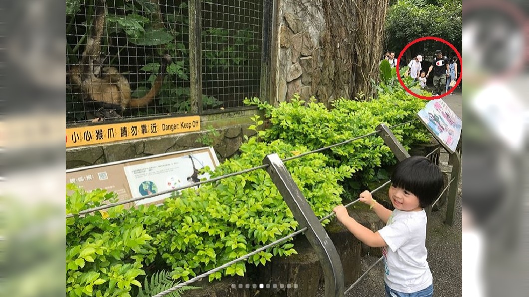 圖/翻攝自陳若儀IG