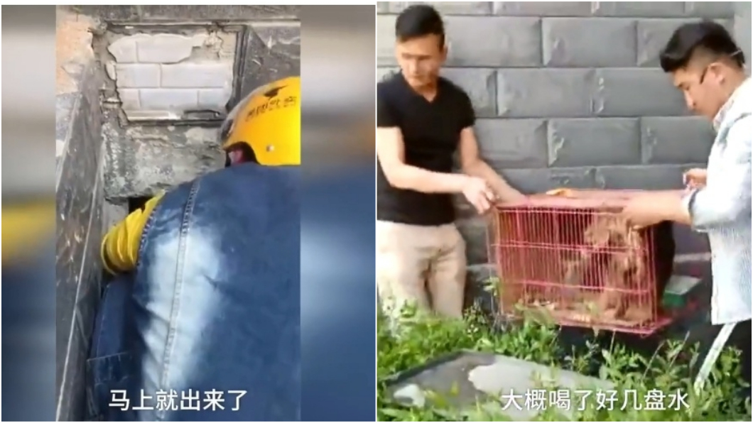 圖/擷取自影片