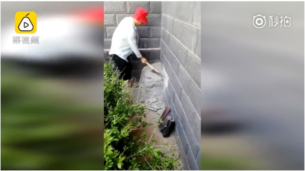 狗媽護兒咬人 狠保全「水泥活埋」封牆17天