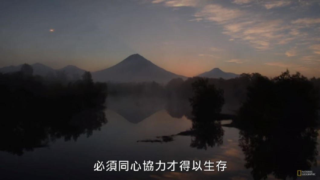 躲避地球大屠殺!生物激發高超「性」能力 防滅種