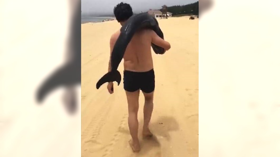 陸五一假期　遊客疑抓到海豚竟直接扛走